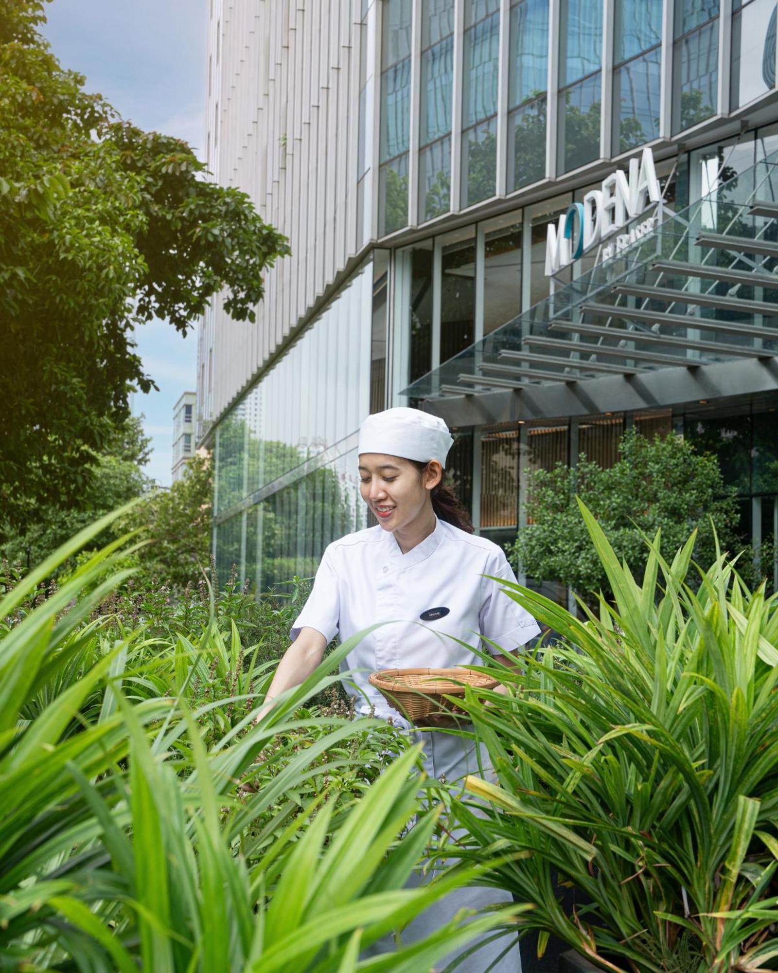 Modena By Fraser 4* Bangkok