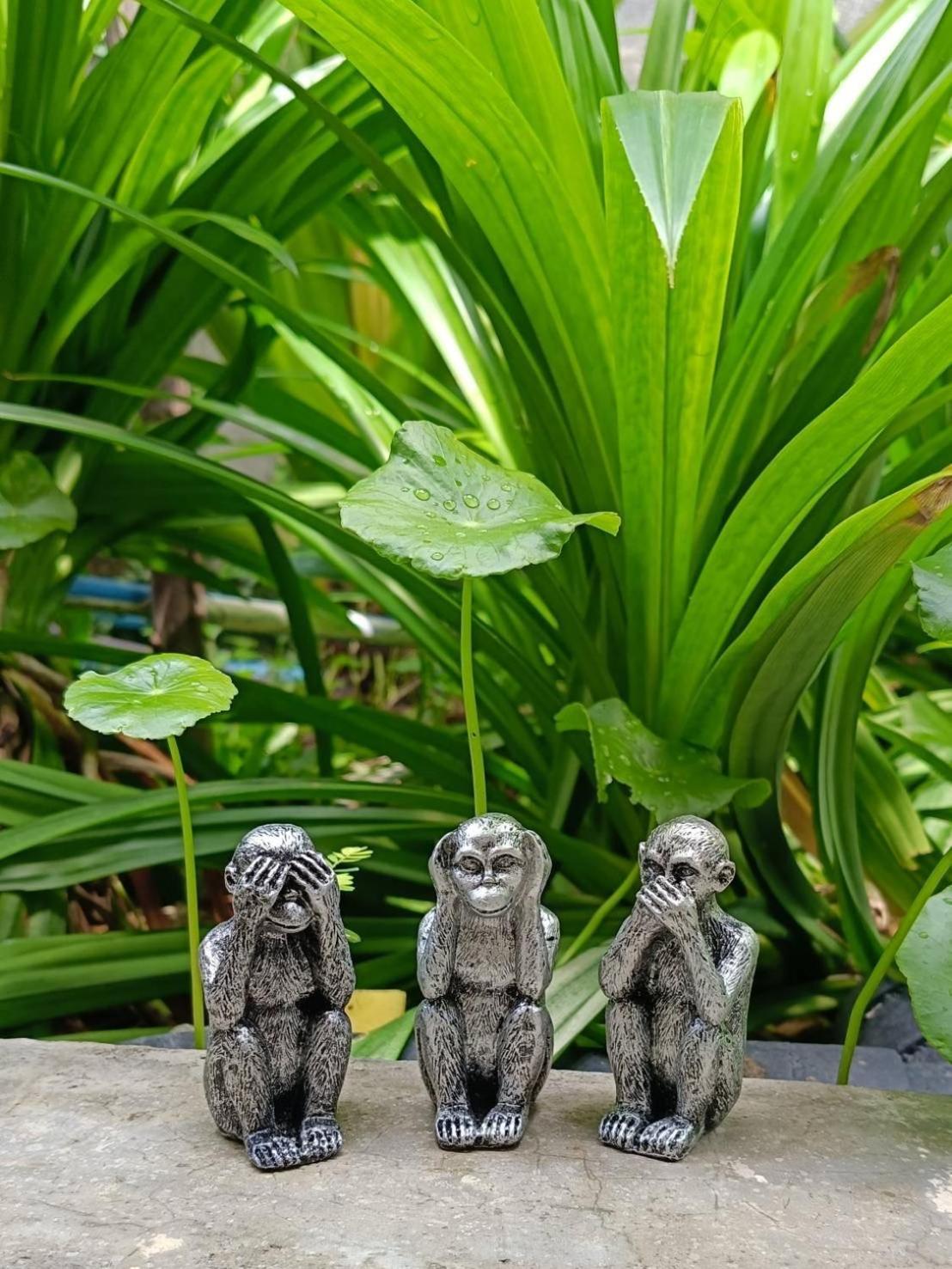 Baan Debtida