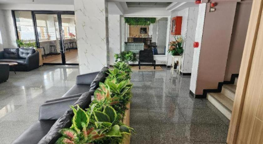 Hotel Station 203
