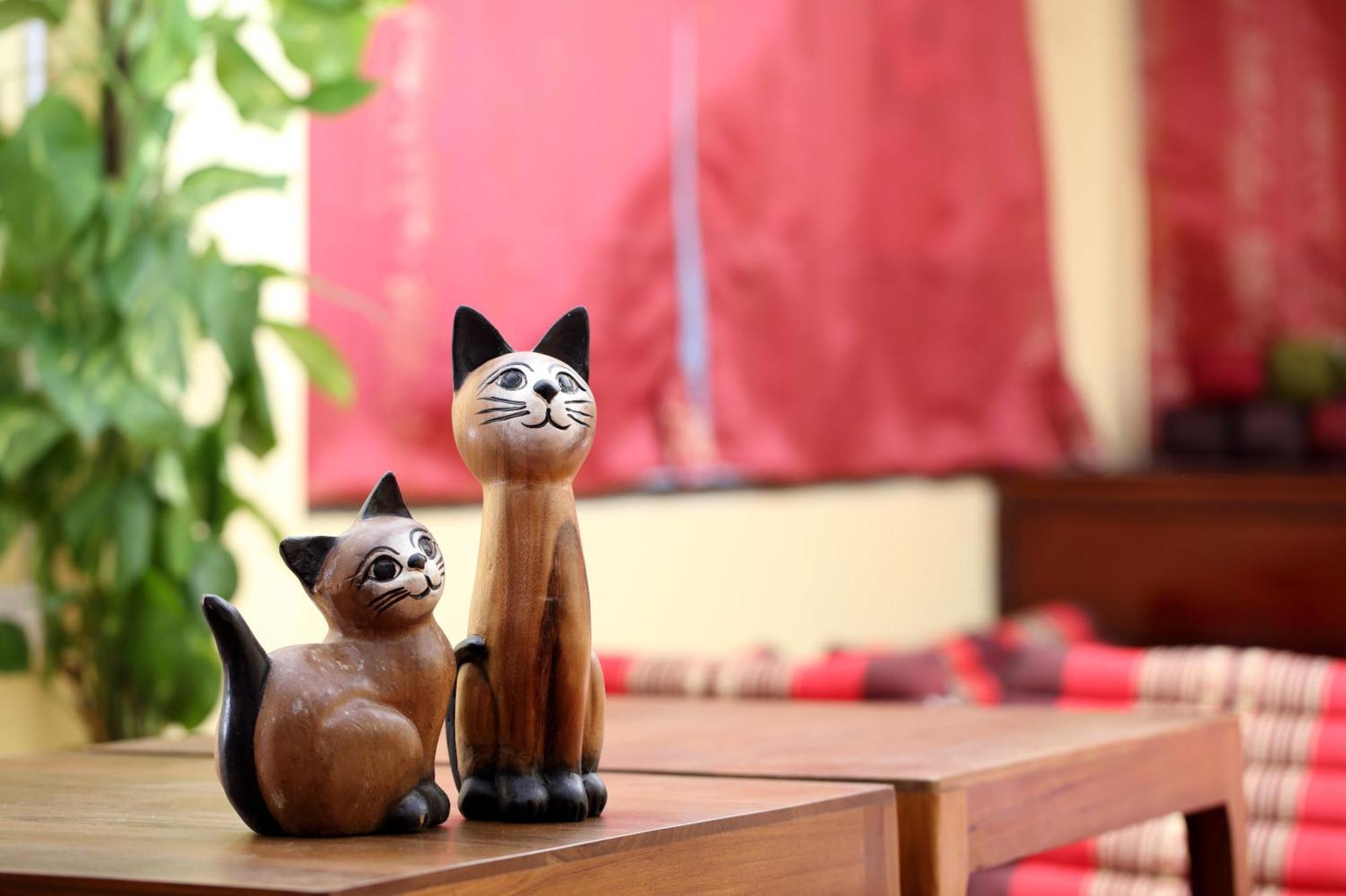 Hostel Thai Cat