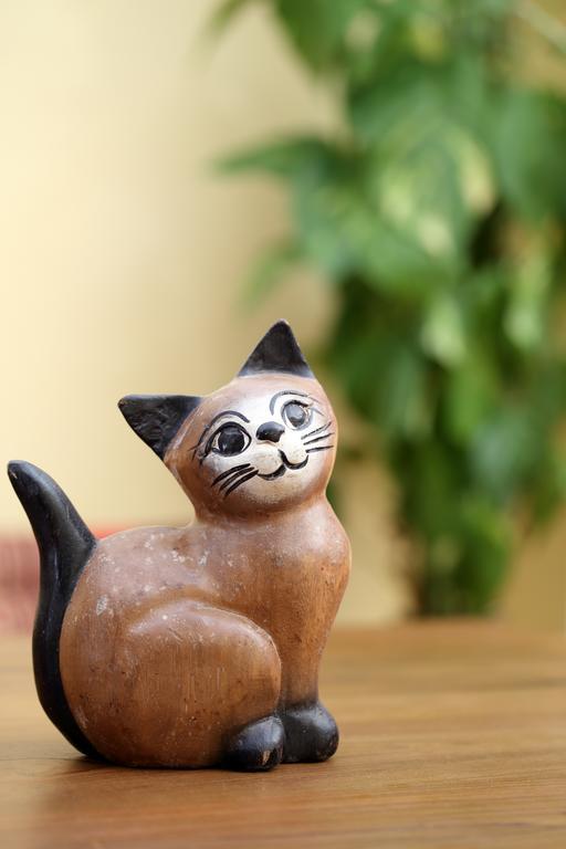Thai Cat *