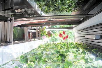 Kansiree Boutique House Bed & Breakfast Bangkok