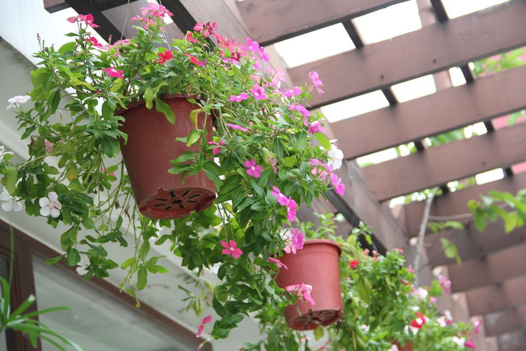Hotel Mariya Boutique At Suvarnabhumi Airport