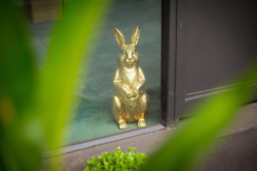 Hostel The Rabbit's Hole