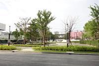 Apartment Supalai Asoke Bangkok