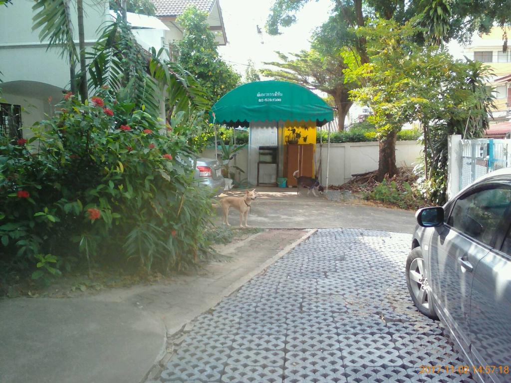 Rumah tetamu Young And Beautiful Bangkok