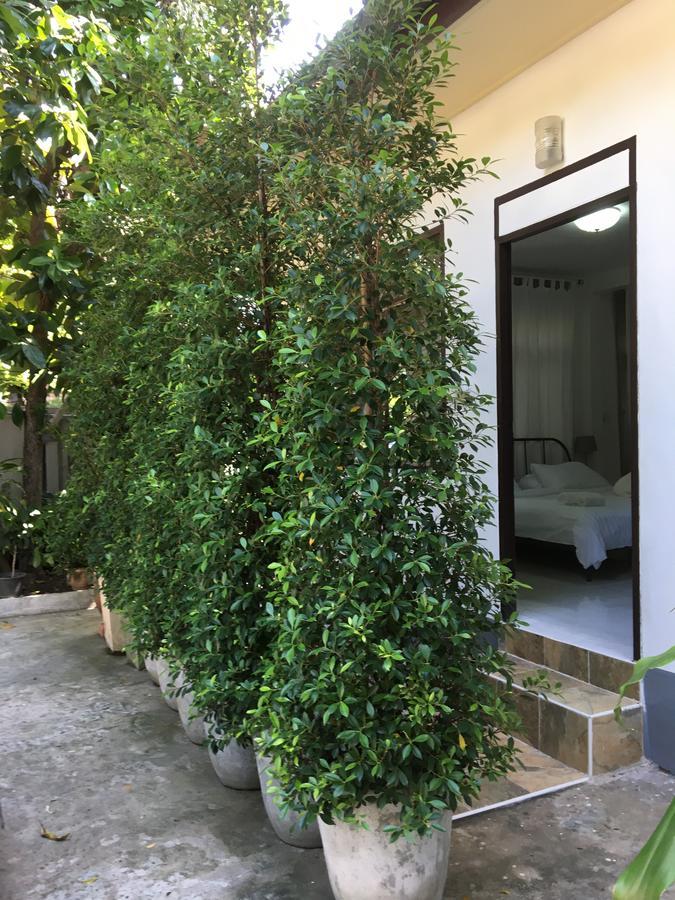 Accommodatie bij particulieren Many Trees Bangkok