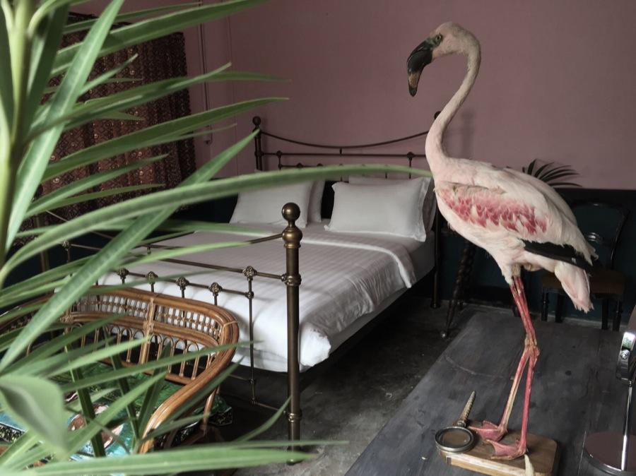 The Mustang Nero Bed & Breakfast
