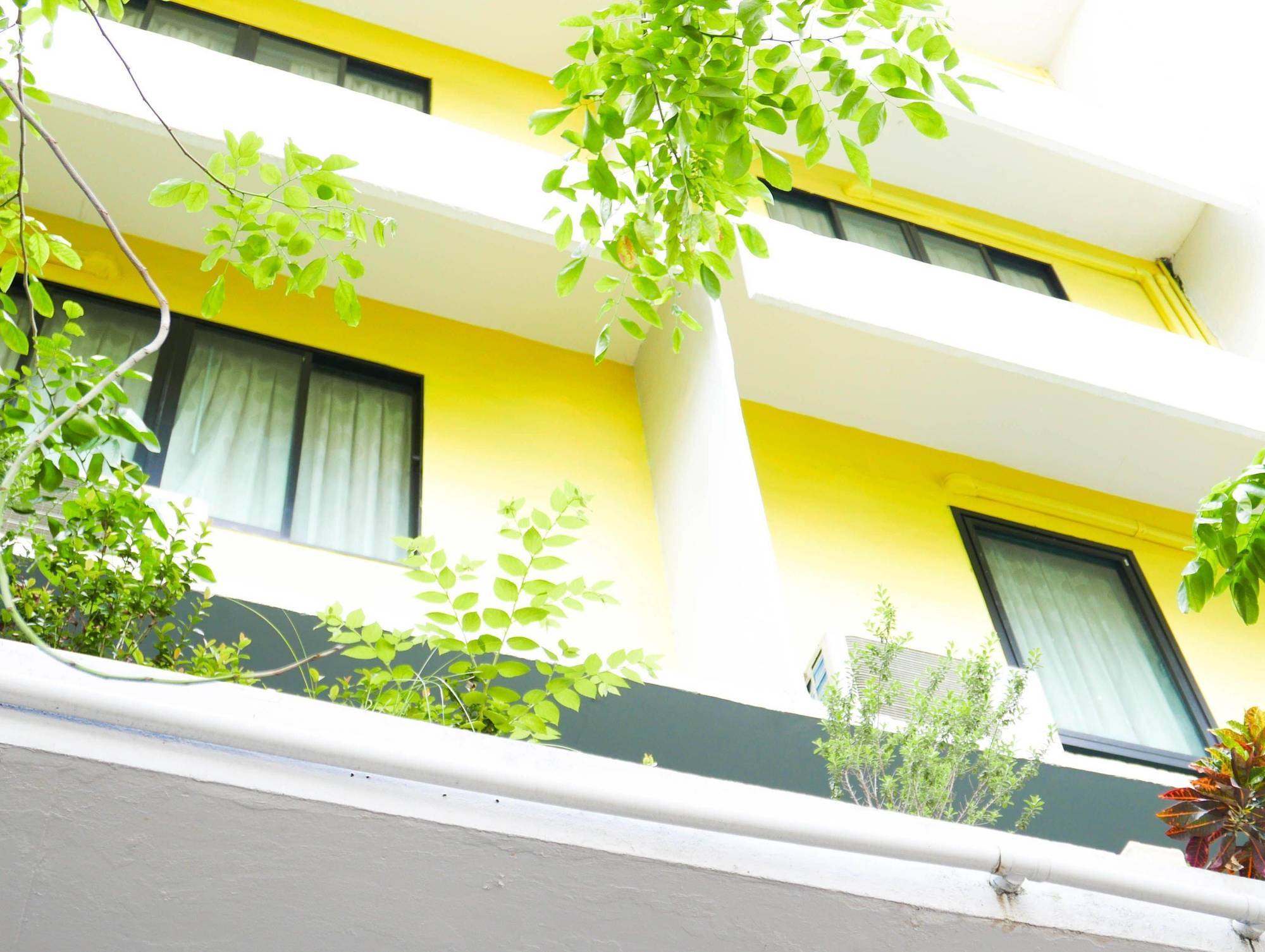 Dd Homestay