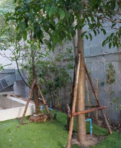 Avatar Suites Hotel - Sha Extra Plus Bangkok