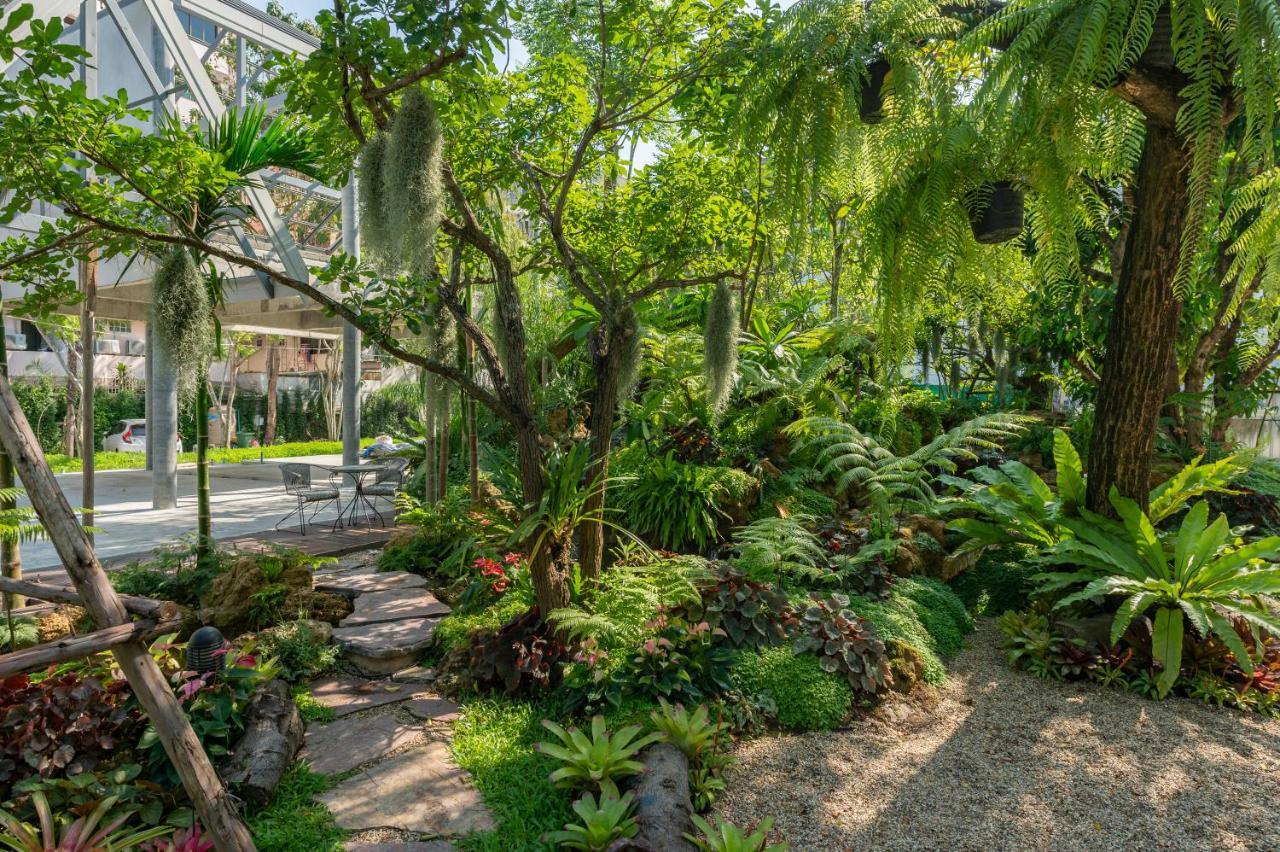 Oasis 3*