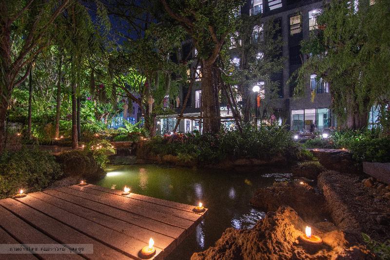 Oasis 3*