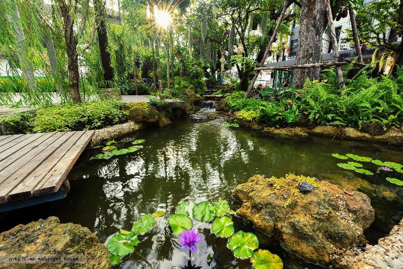 Oasis Hotel 3*