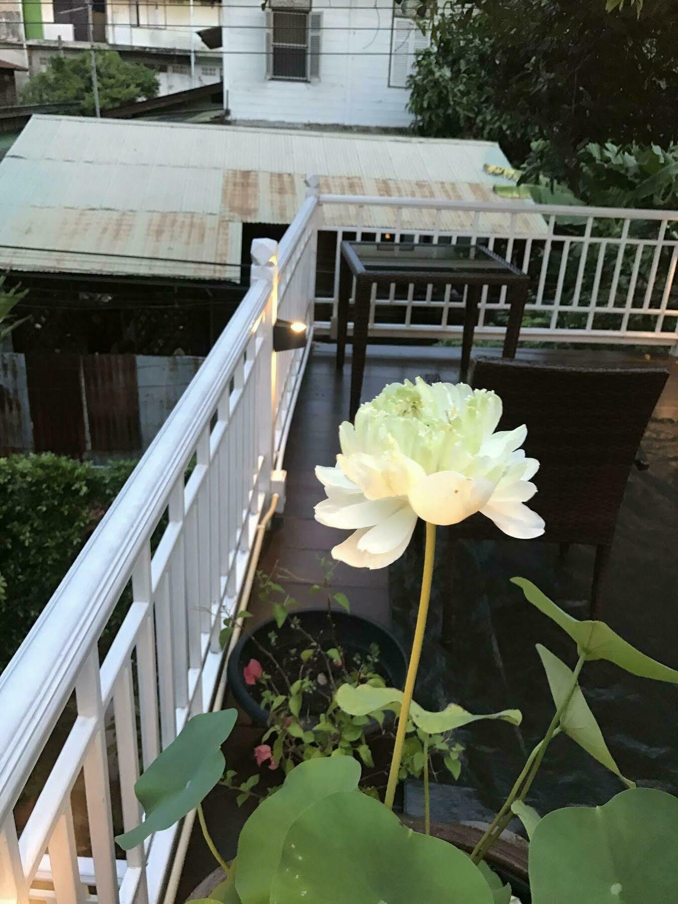 Baankachitpan Bangkok Hotel *