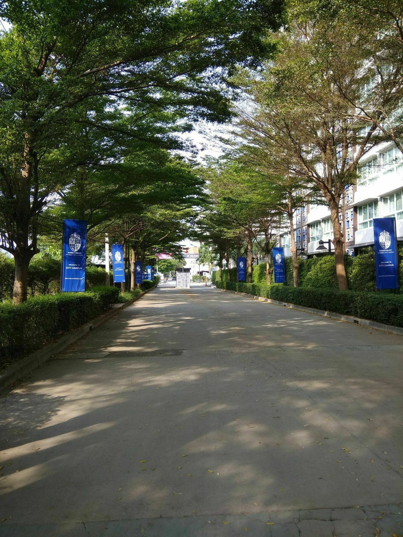 Savi Hotel