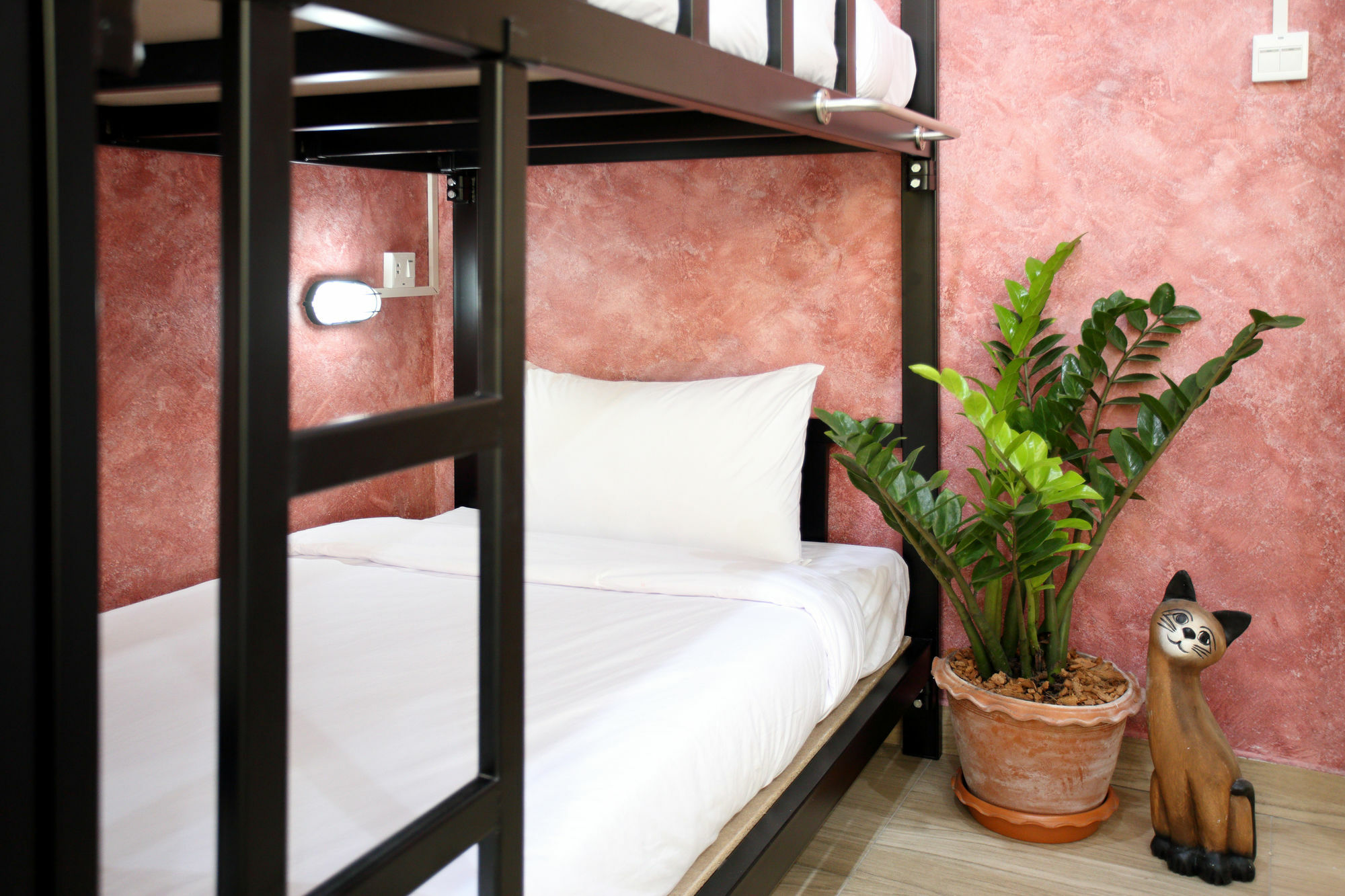 Thai Cat Hostel