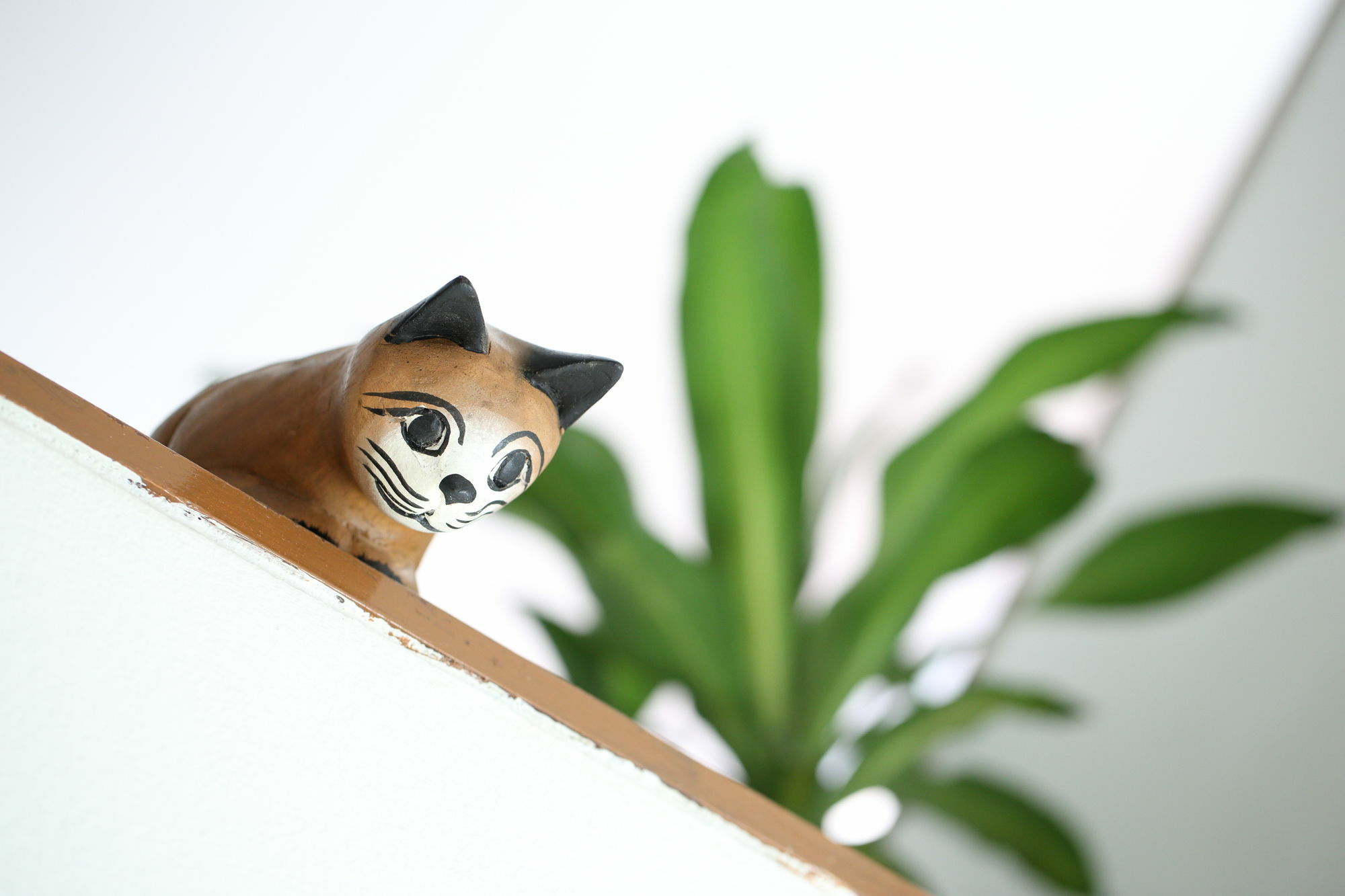Hostel Thai Cat