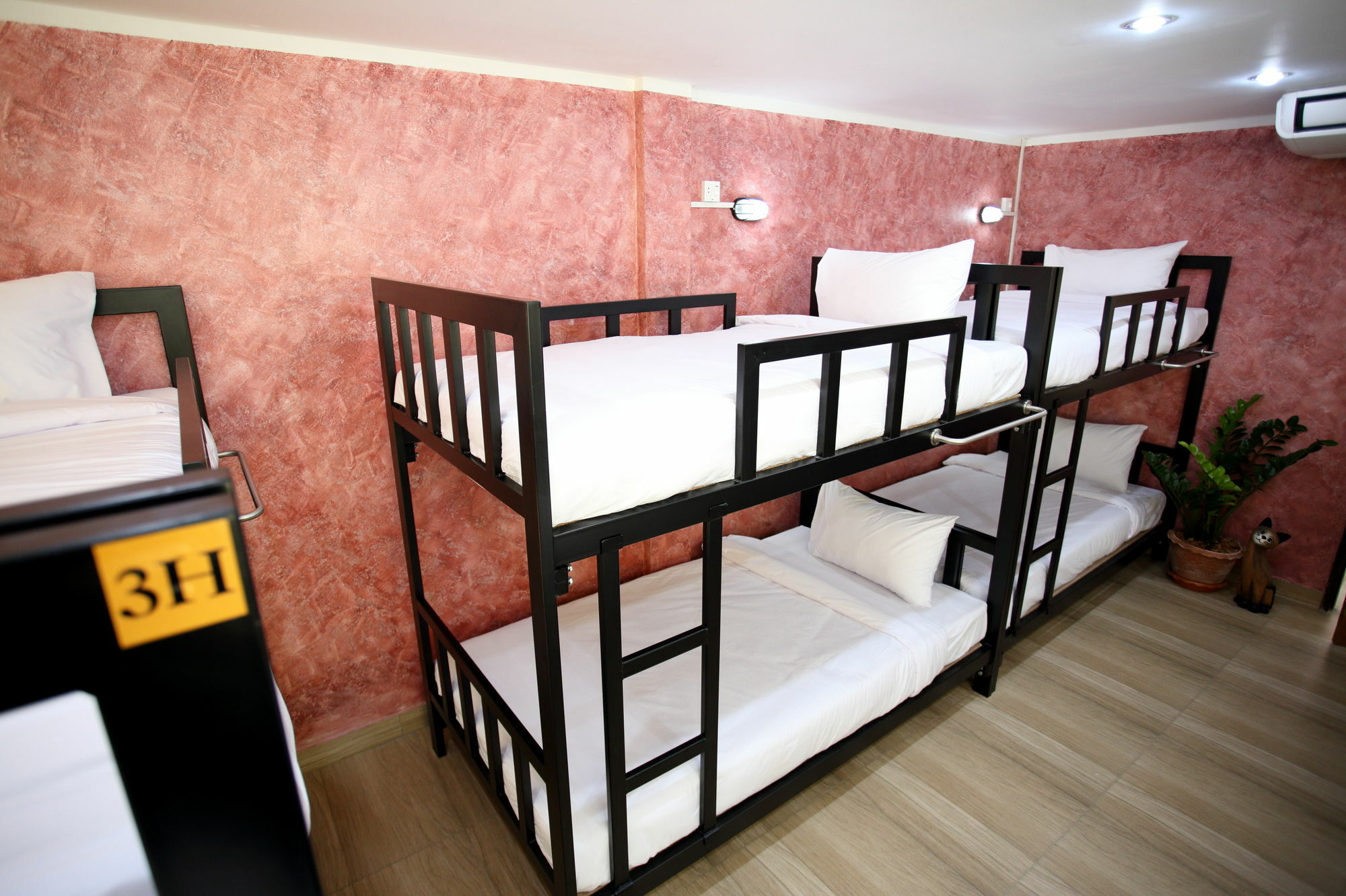 Thai Cat Hostel
