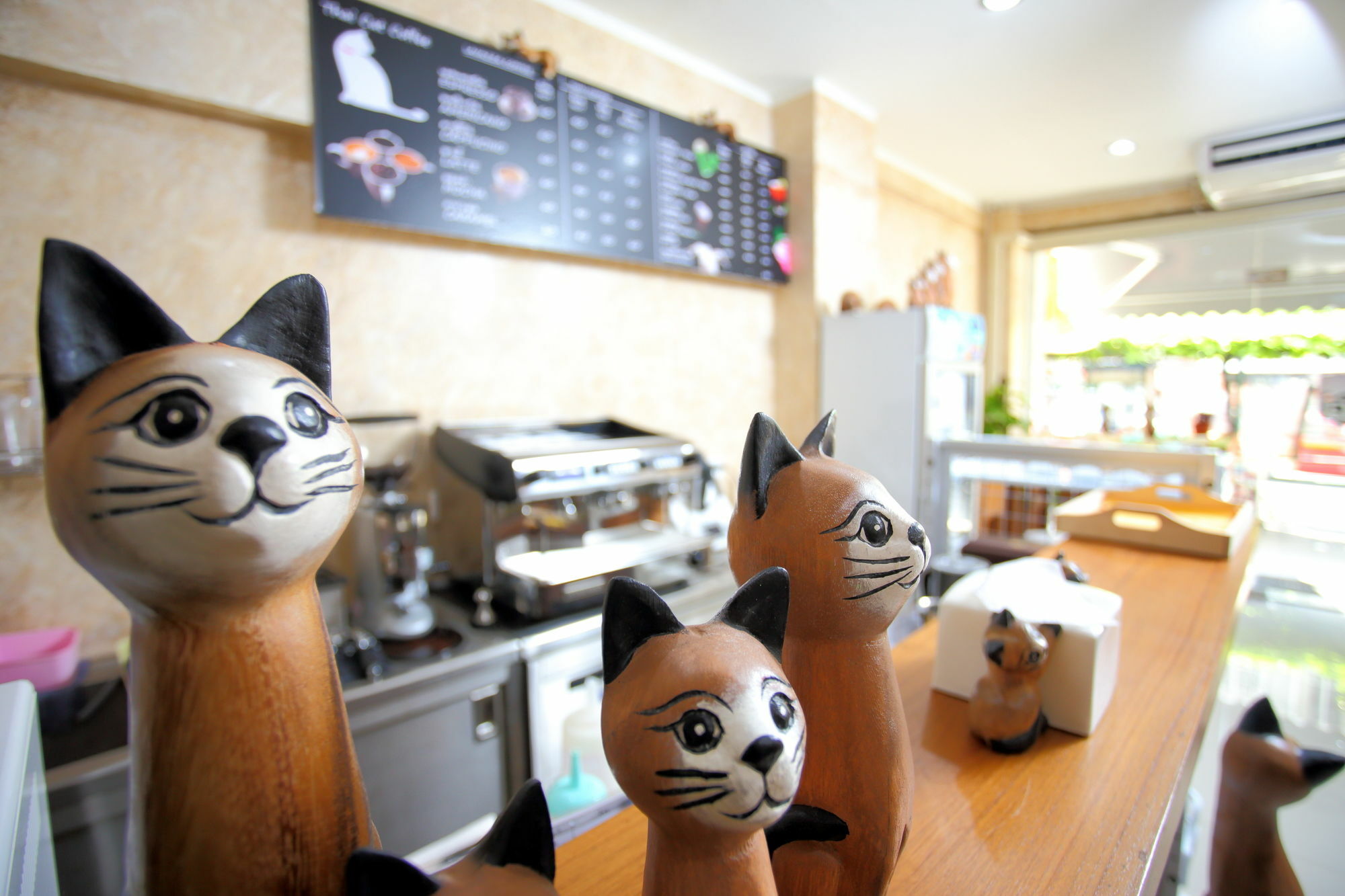 Hostel Thai Cat Bangkok
