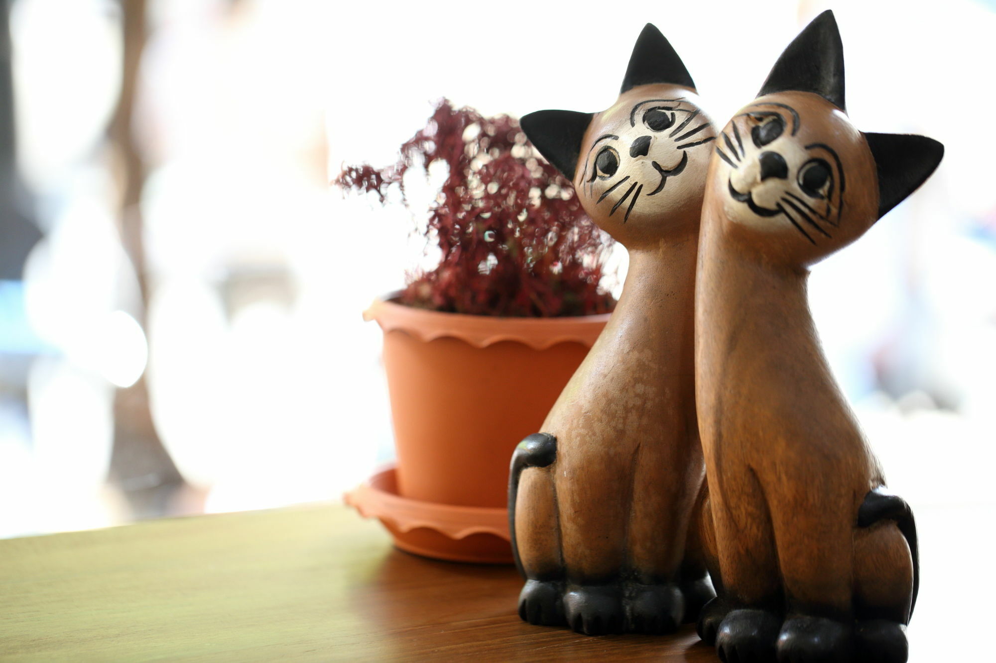 Thai Cat Hostel Bangkok