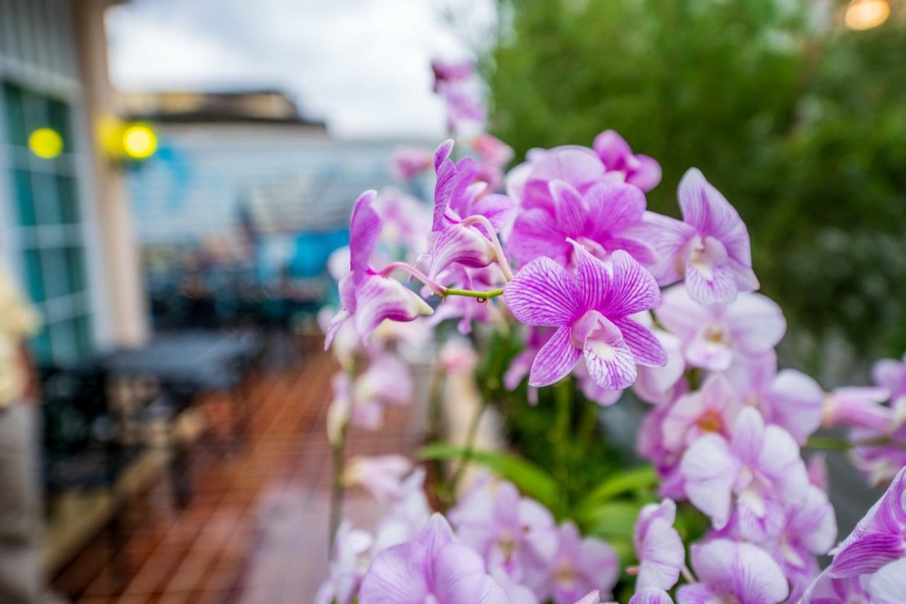The Orchid House 153 Resort