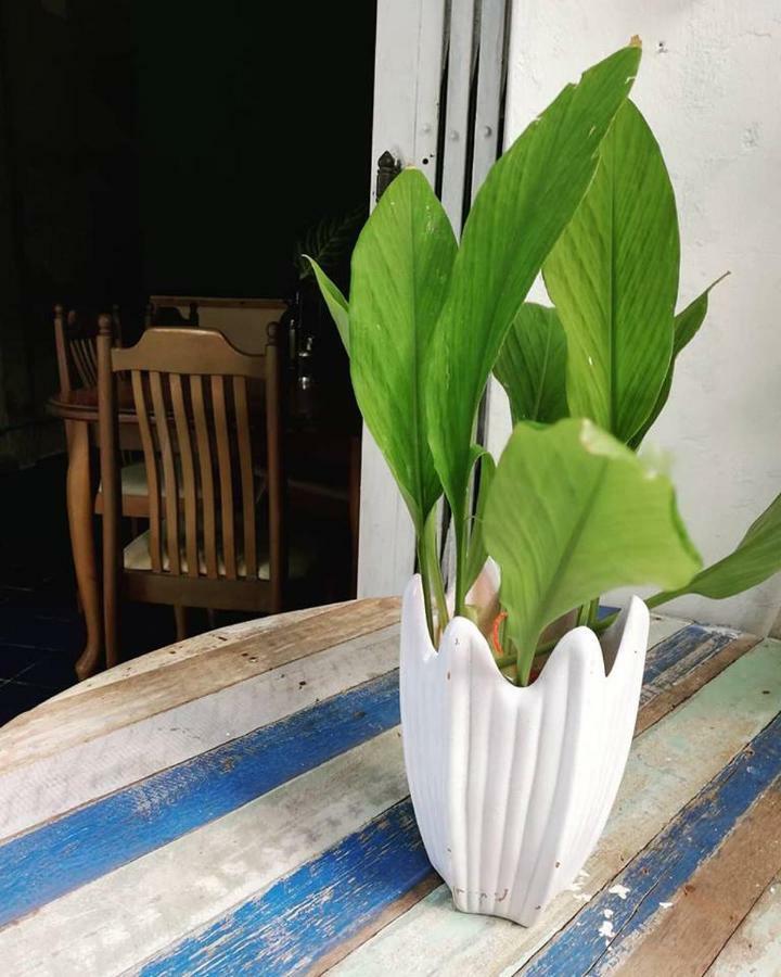 Sla House Homestay *