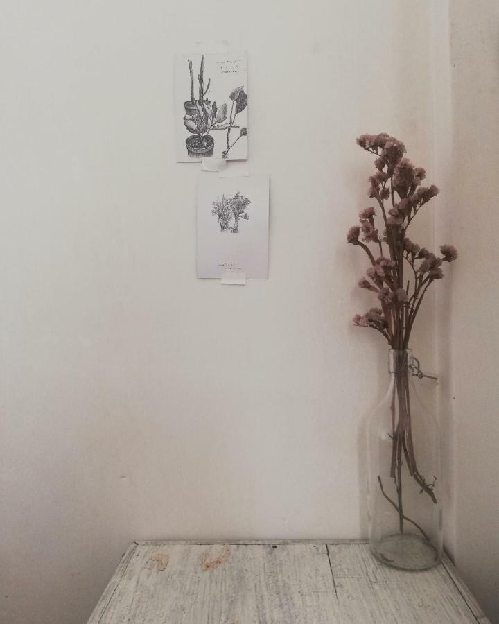 Homestay Sla House *