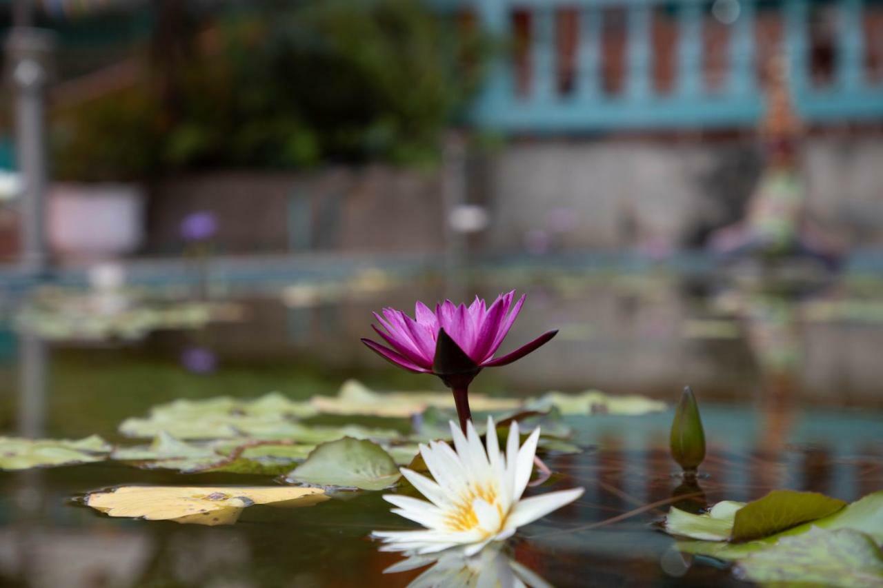 Waterside * Bangkok