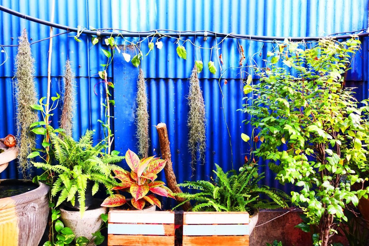 Ddm House Hostel Bangkok