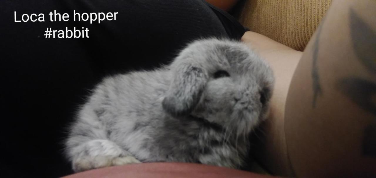 Sleepwith Me