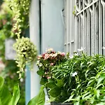 Sira\'S House