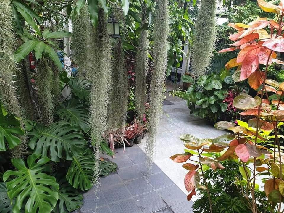 Homestay 37 Nature House