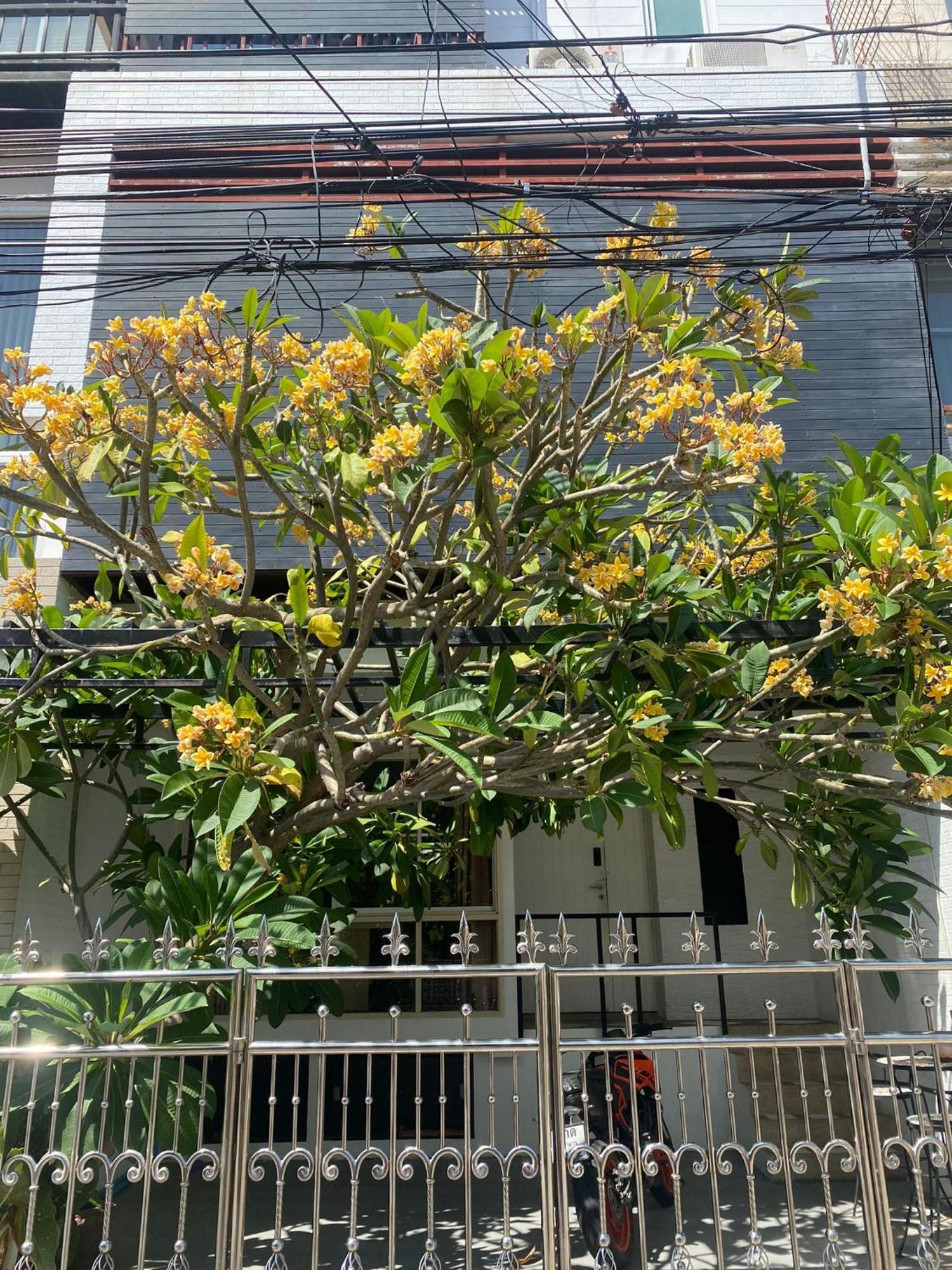 420 House- Up To 10 Guests In Bangkok. * Bangkok