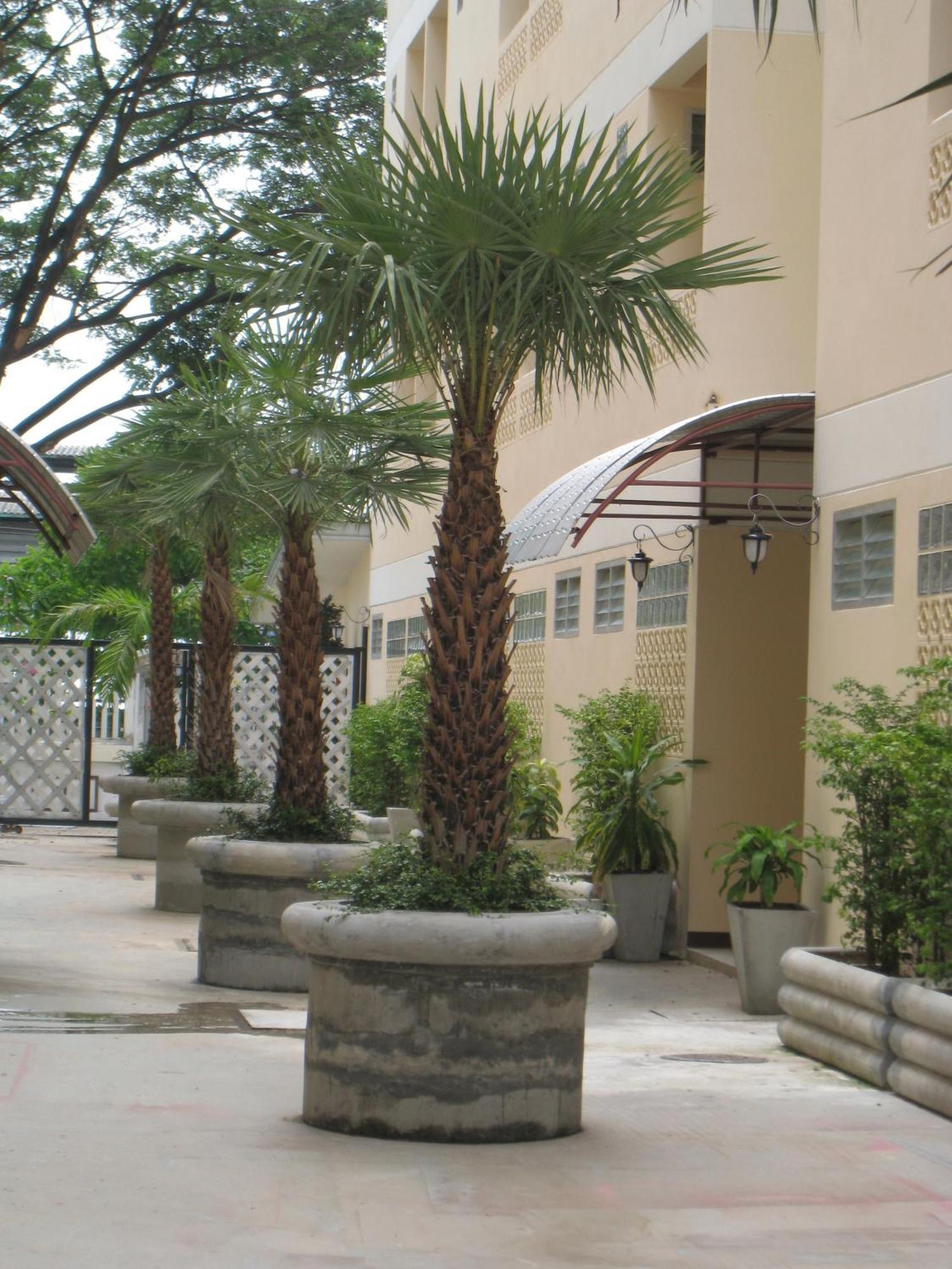 Inn Rafael And Mansion - Sha Extra Certified 3*