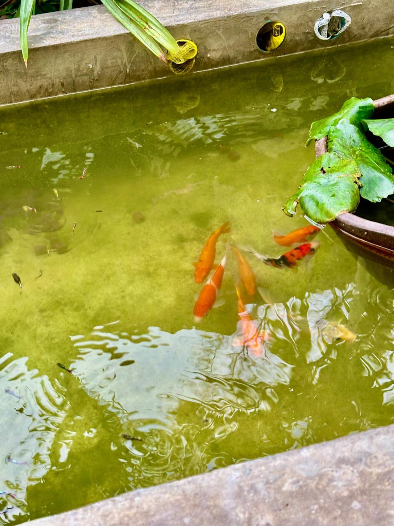 Baan Debtida * Bangkok