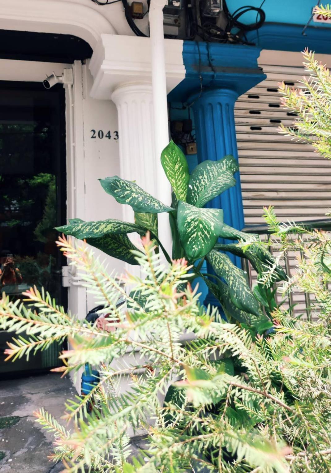 Frühstückspension Mstay Bangkok