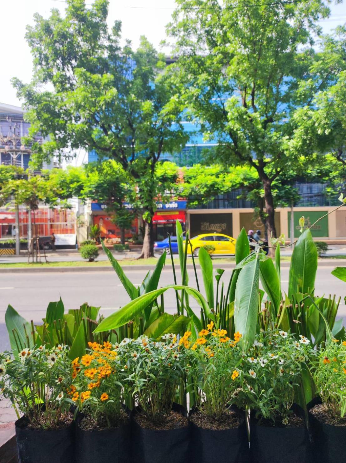 Mstay Frühstückspension Bangkok
