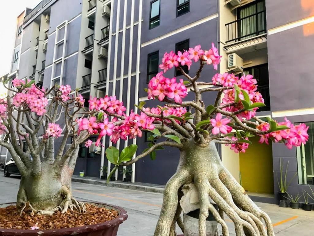 Delighted Hotel