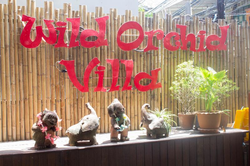 Hotel Wild Orchid