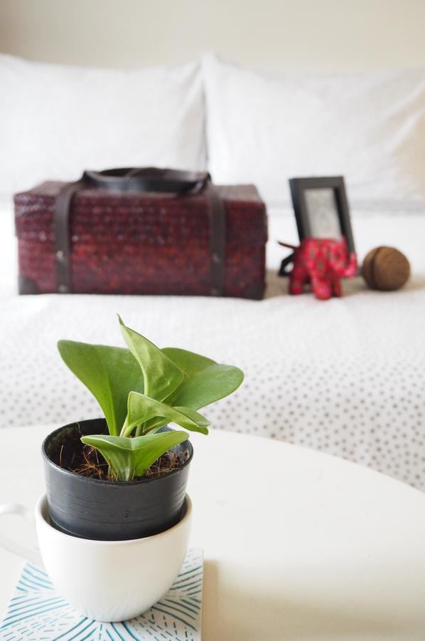 Thaihost@homestay Bangkok