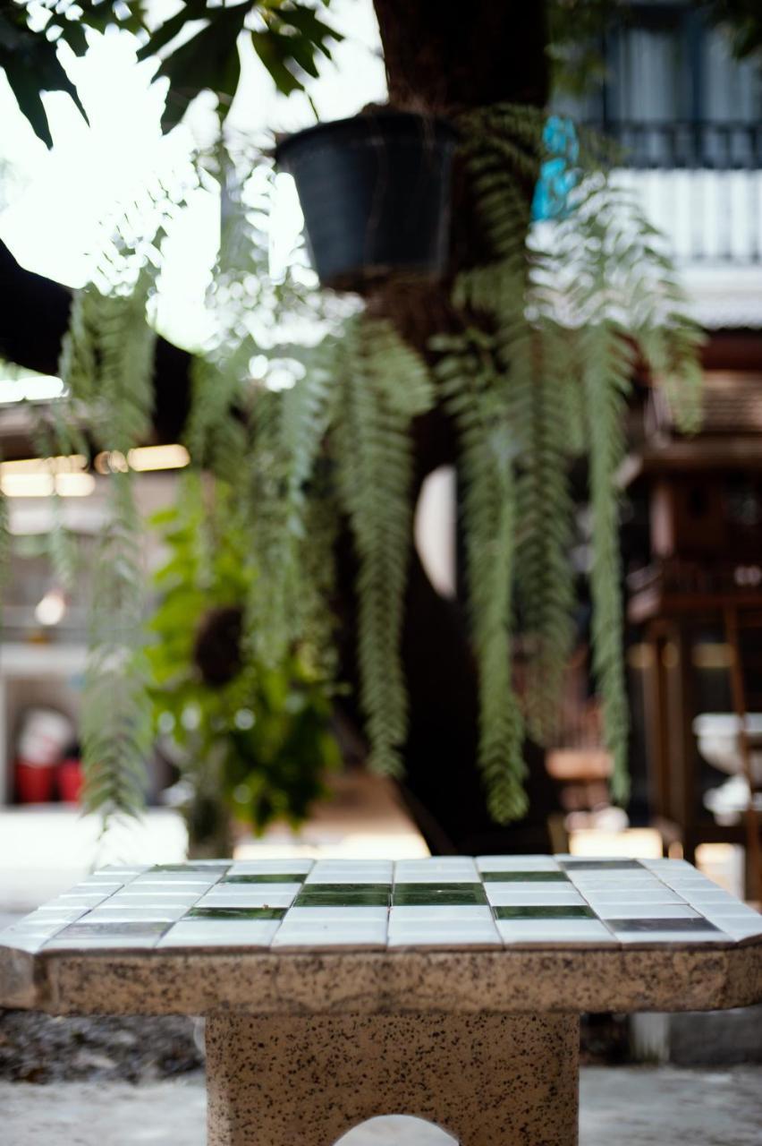 The Hidden House Hostel *