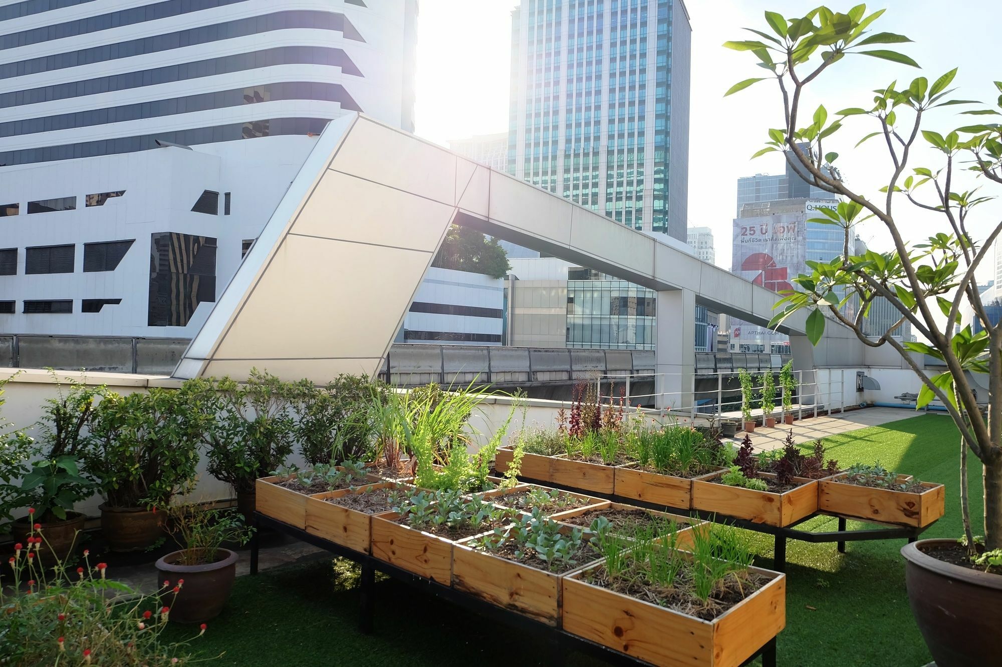 Hom & Cooking Club Bangkok