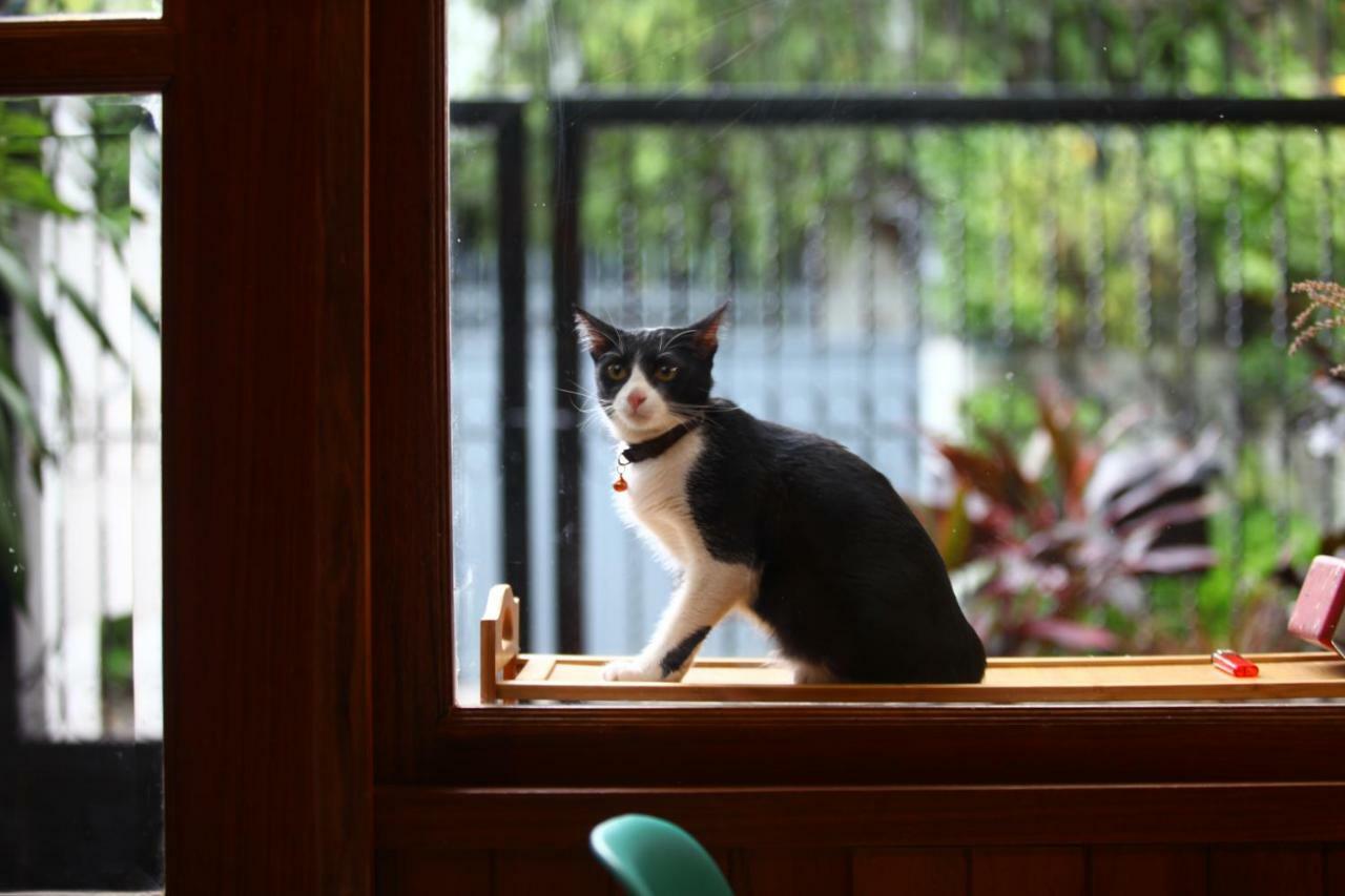 Guest house Madcat 曼谷疯猫民宿 *