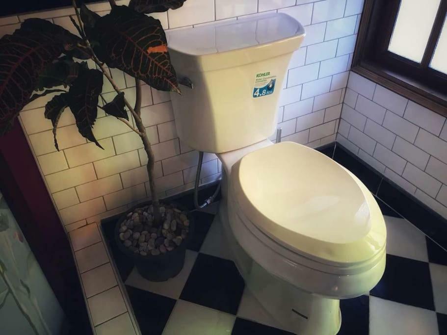 Guest house Madcat 曼谷疯猫民宿