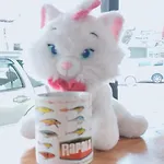 SleepCatsHostel
