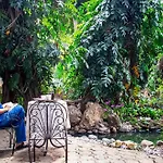 Cozycomo Bangkok