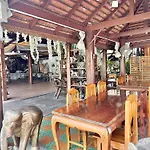 Montri Resort Donmuang Bangkok