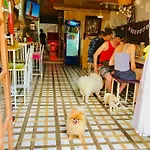 Pailin Guest House