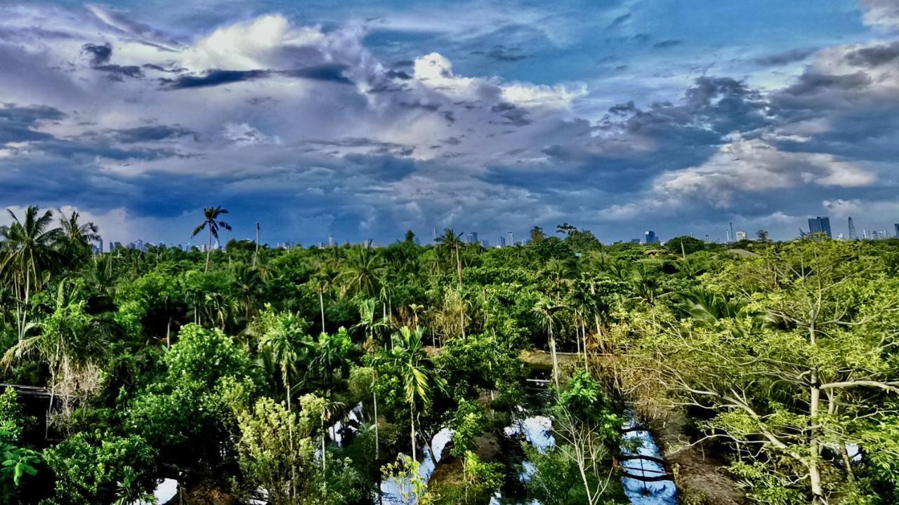 Coconut Lane