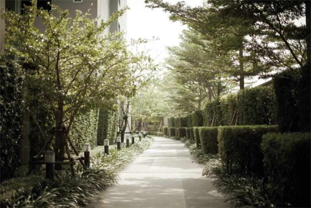 Aspaceplay รัชดาสุทธิสาร1 ชั้น 3 ตึก C Pangsapuri Bangkok